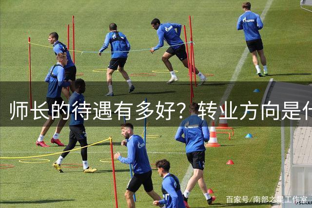 师长的待遇有多好？转业方向是什么？可以当省公安厅厅长吗？
